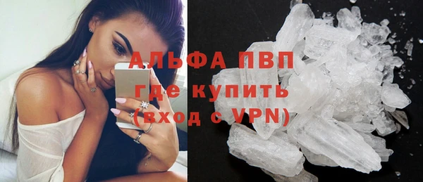 шишки Арсеньев
