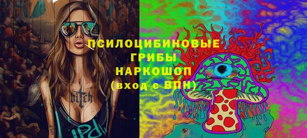 шишки Арсеньев