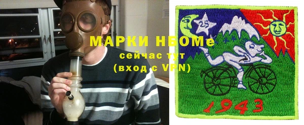 шишки Арсеньев
