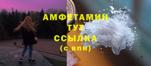 шишки Арсеньев